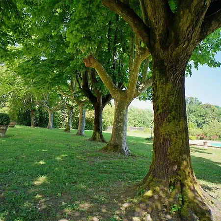 Historic Franchini Villa